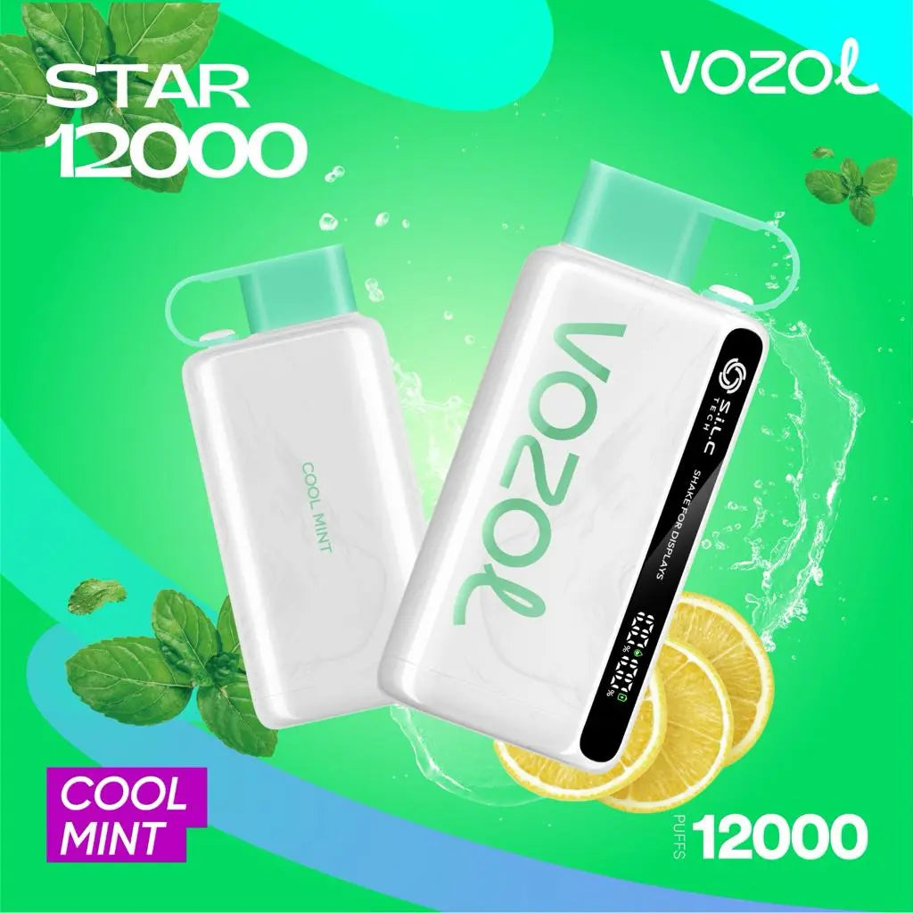 Vozol Star 12000 Puffs Disposable Vape Dubai – Rechargeable & Flavorful