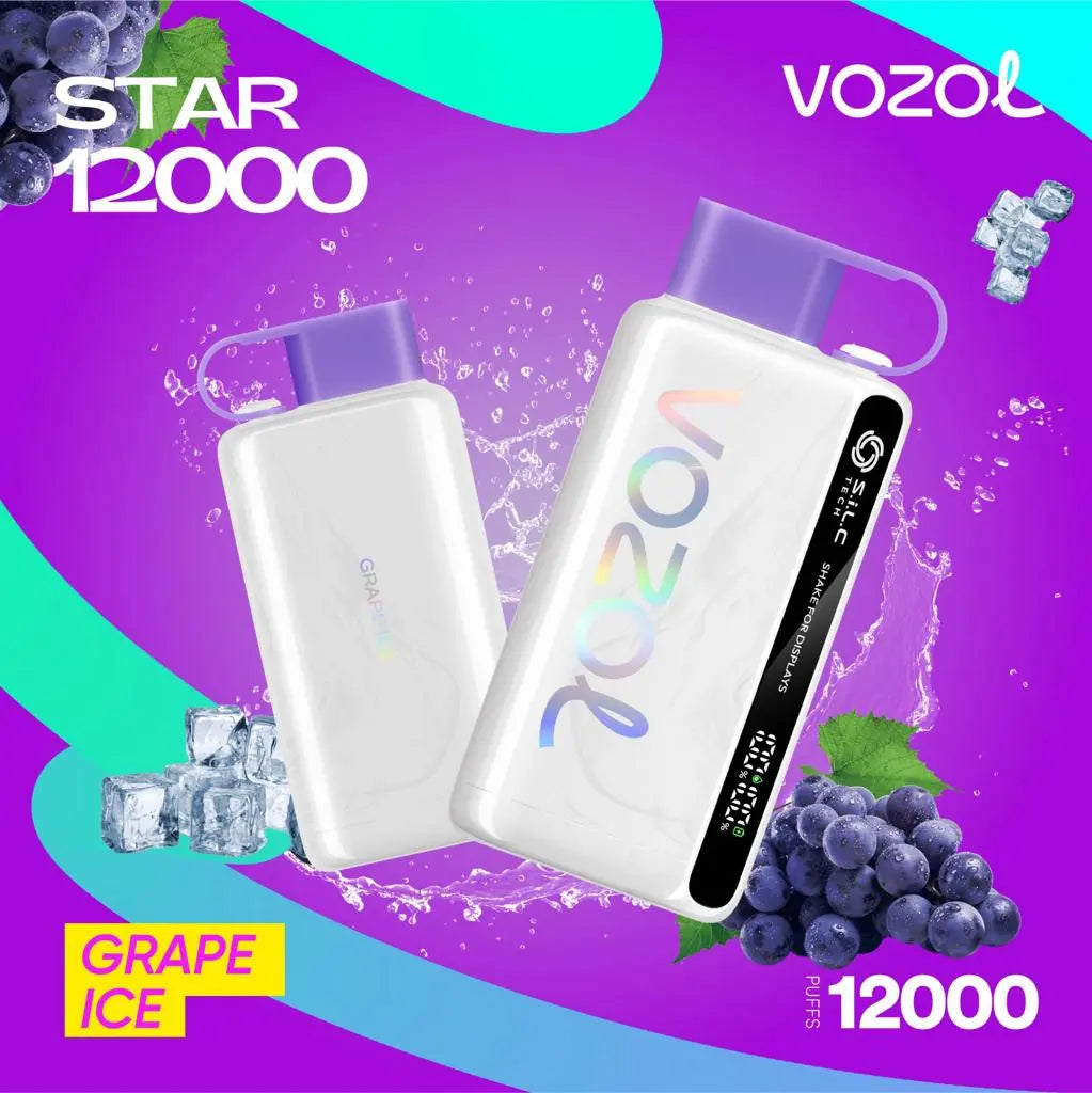 Vozol Star 12000 Puffs Disposable Vape Dubai – Rechargeable & Flavorful