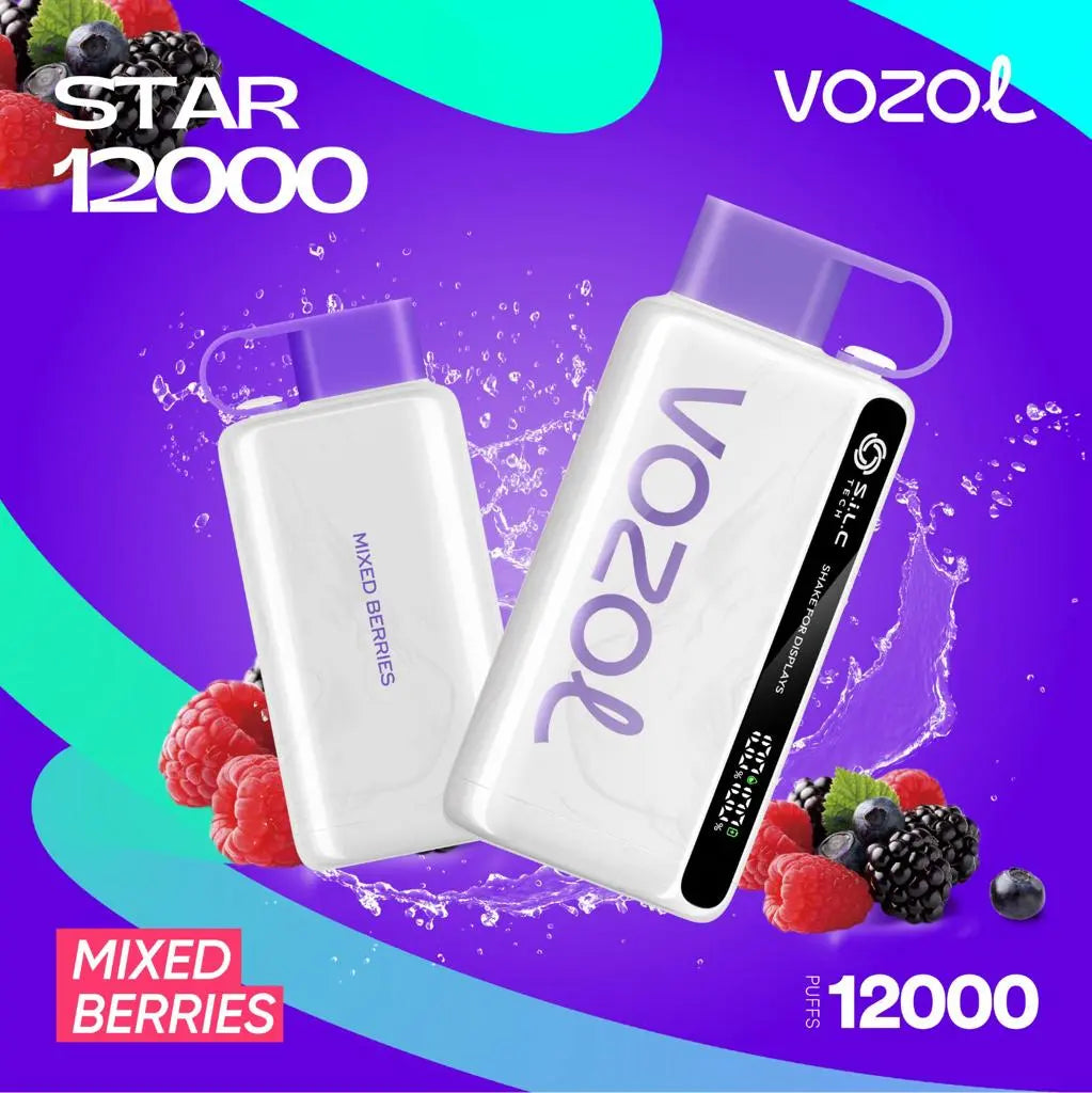 Vozol Star 12000 Puffs Disposable Vape Dubai – Rechargeable & Flavorful