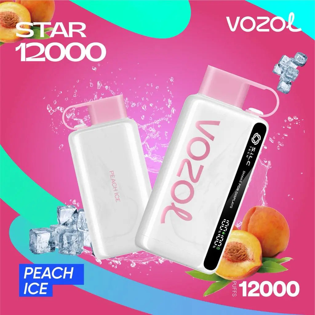 Vozol Star 12000 Puffs Disposable Vape Dubai – Rechargeable & Flavorful