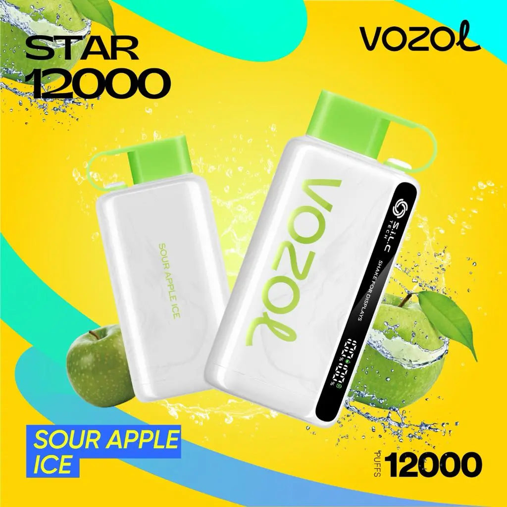 Vozol Star 12000 Puffs Disposable Vape Dubai – Rechargeable & Flavorful