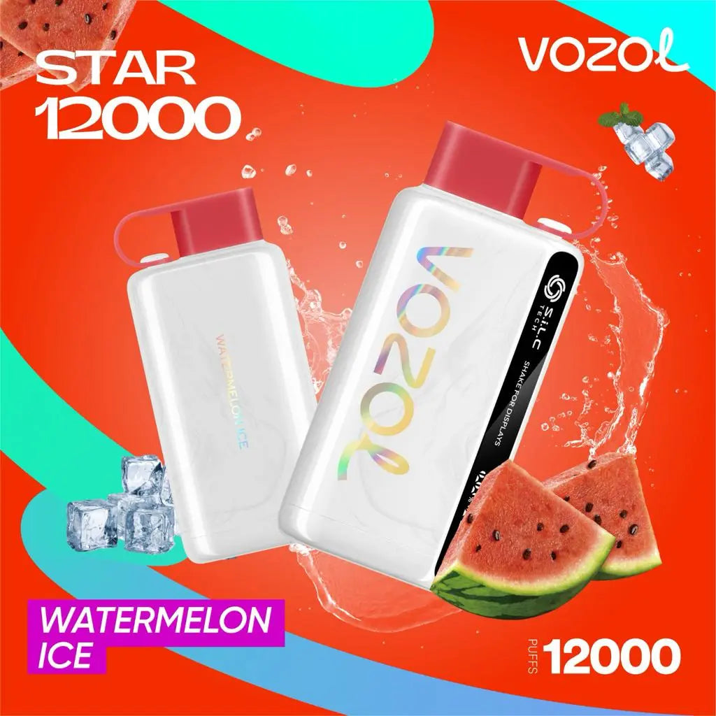Vozol Star 12000 Puffs Disposable Vape Dubai – Rechargeable & Flavorful