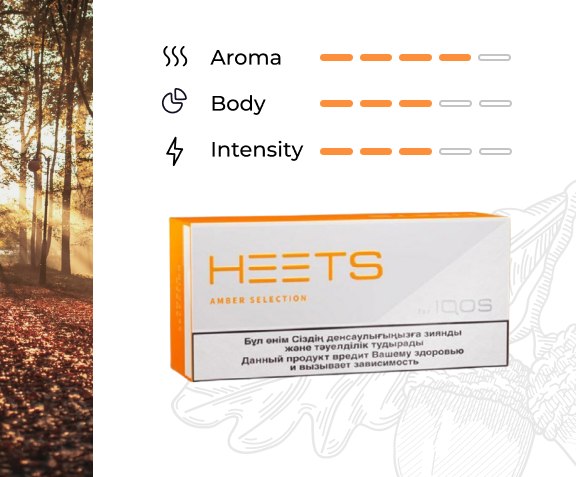 IQOS Heets Kazakhstan – Buy All Flavors Online in Dubai UAE 2024