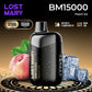 LOST MARY MT15000 TURBO 5% Disposable Vape in Dubai