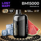 LOST MARY MT15000 TURBO 5% Disposable Vape in Dubai